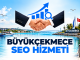 Büyükçekmece Seo Hizmeti